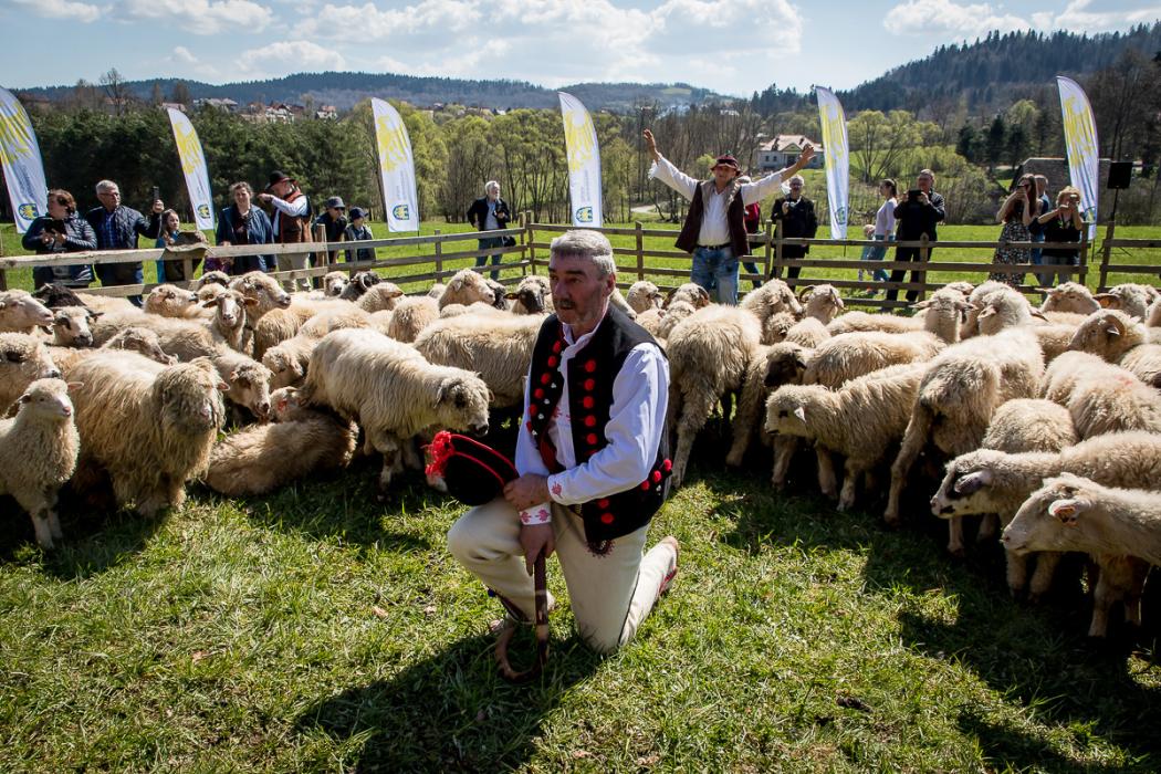  fot. arch. UMWS Tomasz Żak 