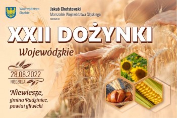 Wojewódzkie „Święto Plonów”