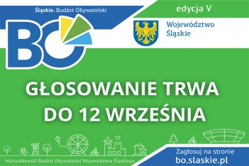 Głosowanie tylko do 12 września