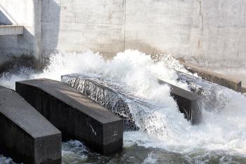  fot. arch. UMWS Tomasz Żak 