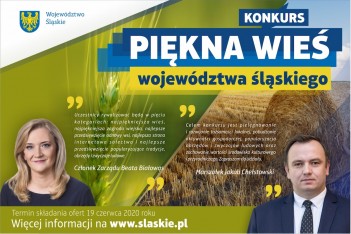 Docenić piękno wsi