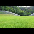 Budowa systemu nawodnienia stadionu Orzeł Dąbie 