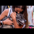  Pucharu Polski w Dogtrekkingu:. fot. Tomasz Żak / UMWS 