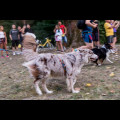  Pucharu Polski w Dogtrekkingu:. fot. Tomasz Żak / UMWS 