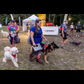  Pucharu Polski w Dogtrekkingu:. fot. Tomasz Żak / UMWS 