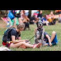  Pucharu Polski w Dogtrekkingu:. fot. Tomasz Żak / UMWS 