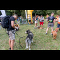  Pucharu Polski w Dogtrekkingu:. fot. Tomasz Żak / UMWS 