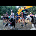  Pucharu Polski w Dogtrekkingu:. fot. Tomasz Żak / UMWS 