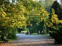  Park jesienią. 