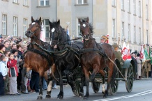  W Katowicach defiladą uczczono Święto Niepodległości 