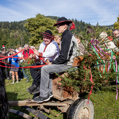 Łossod – jesienny Redyk w Węgierskiej Górce. fot. Tomasz Żak / UMWS