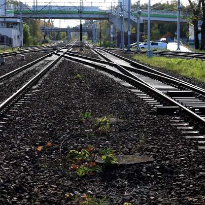 Ogłoszono przetarg na odbudowę linii Jastrzębi-Zdrój – Pawłowice Śląskie. fot. Andrzej Grygiel / UMWS