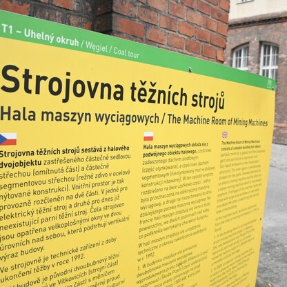 fot. Patryk Pyrlik / UMWS